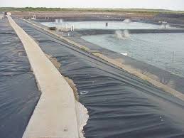 Lined aquaculture ponds at a coastal fish farm
