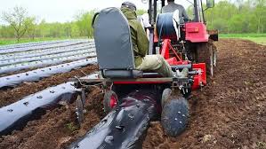 Tractor laying mulch film across field rows